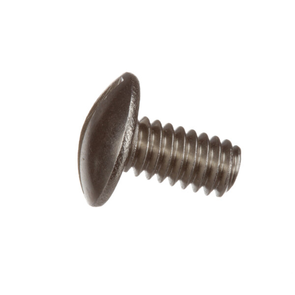 A close-up of a Champion screw on a white background.