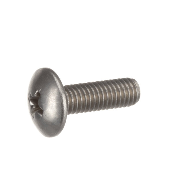 A close-up of a Blakeslee 9561 screw head on a white background.
