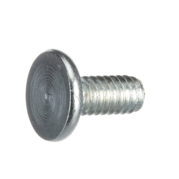 A close-up of a Gold Medal T-Bolt screw with a metal head.