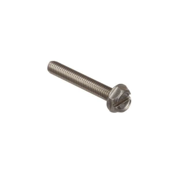 A close-up of a Champion 10-32 x 1 1/4 screw.