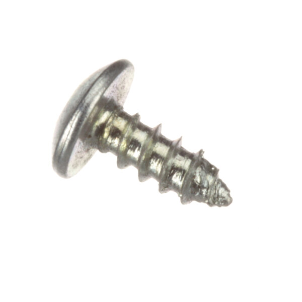 A close-up of a Southbend screw on a white background.