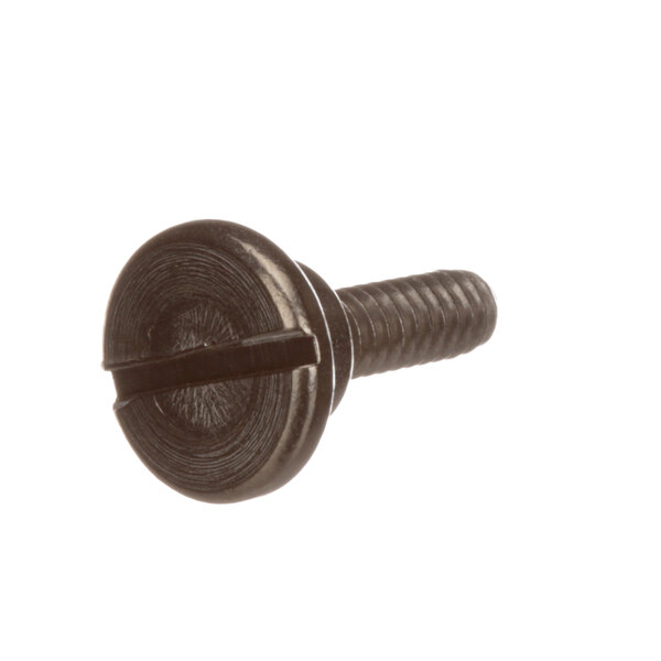 A close-up of a stainless steel shoulder screw with a black head.