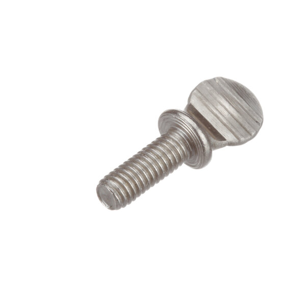 A Glastender screw with a metal head.