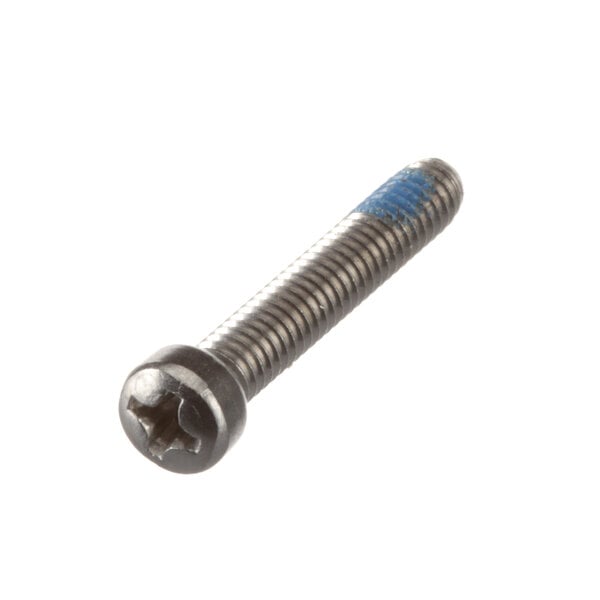 A close-up of a Champion screw with a blue screw head.