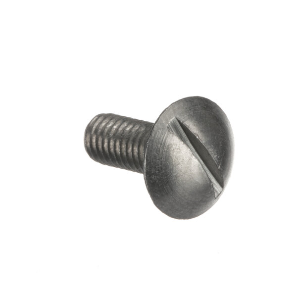 A close-up of a Berkel metal screw.