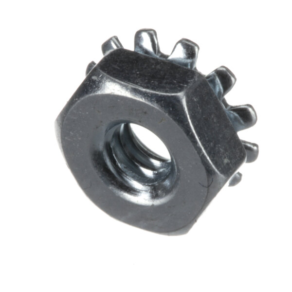 A close-up of a black metal Keps nut.