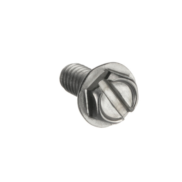 A close-up of a Henny Penny stainless steel hex head screw.