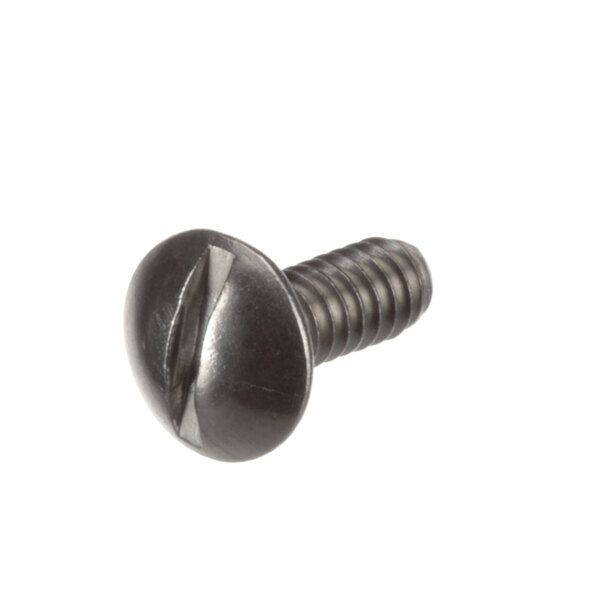 A close-up of a Lincoln 6-32 X 3/8 screw.