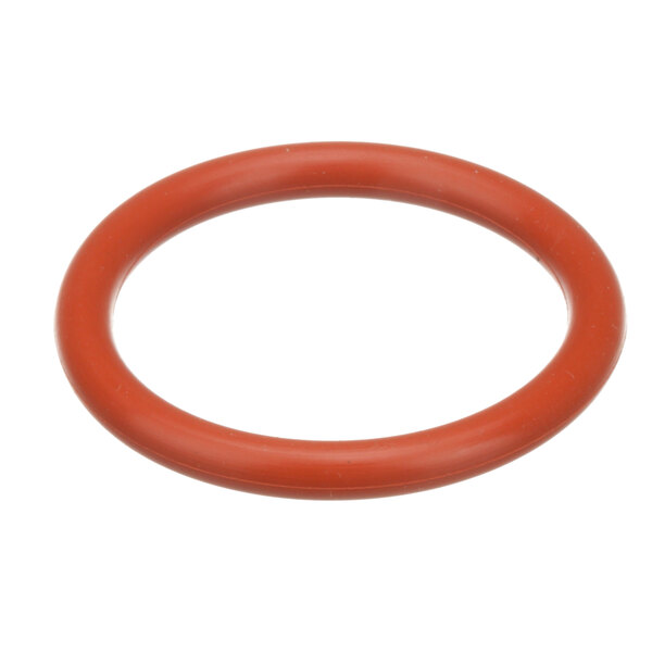 An orange rubber Champion O-Ring.