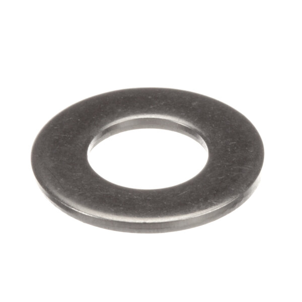 A close-up of a Champion Thrust Washer on a white background.