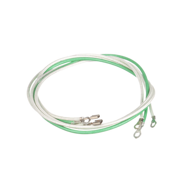 A Wells 2E-44488 wire set with a green and white cable.