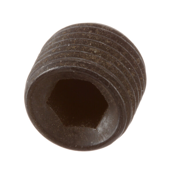 A close-up of a Blakeslee pointed set screw.