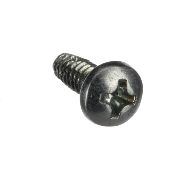 A close-up of a Frymaster 6-32x3/8 screw with a philips head.