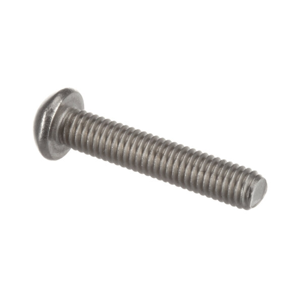 A close-up of a stainless steel Beverage-Air screw.