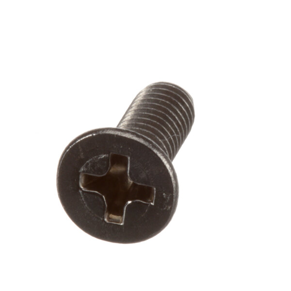 A close-up of an Alto-Shaam screw with a black cross.