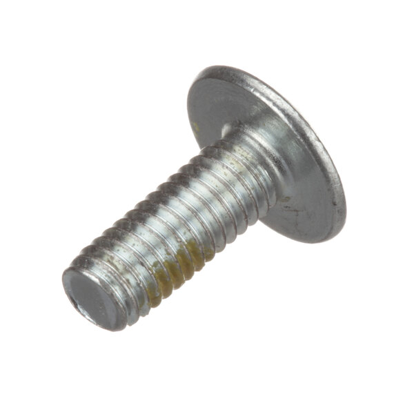A close-up of an Aladdin screw with a metal head.