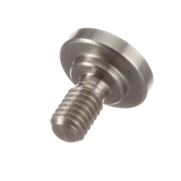 A close-up of an Alto-Shaam metal screw.