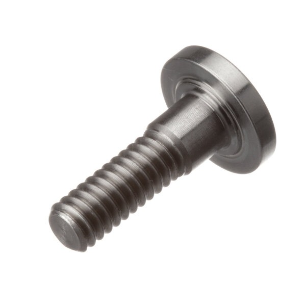 A close-up of a Silver King screw with a black head.