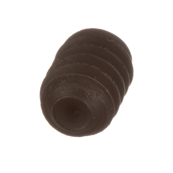 A close-up of a black Globe set screw.