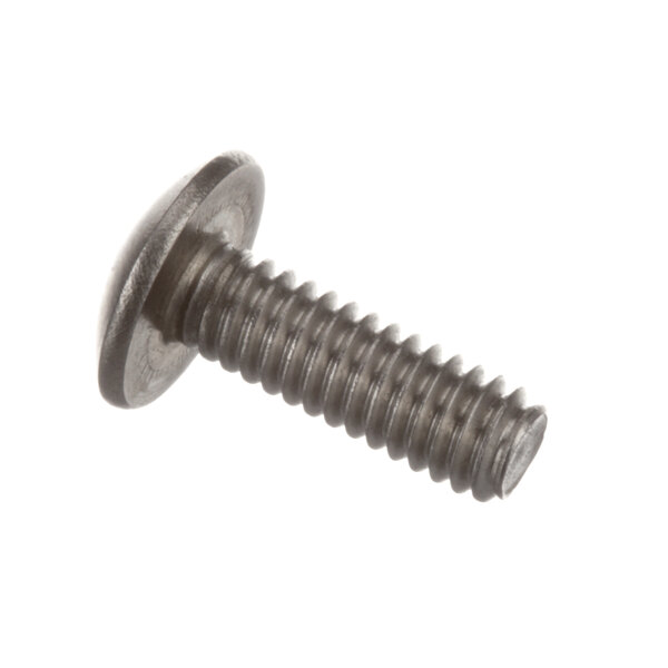A close-up of an Alto-Shaam SC-2425 mounting screw.