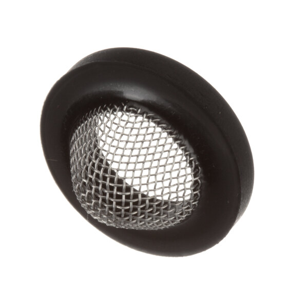 A black metal wire mesh screen with a round black frame.