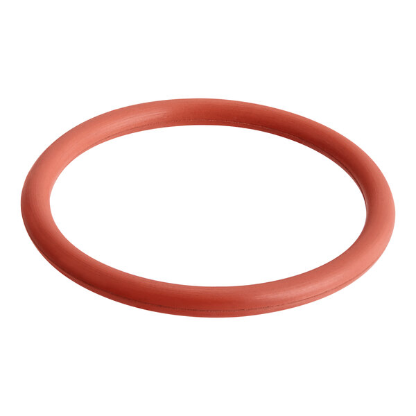 A red rubber O-ring with a white background.