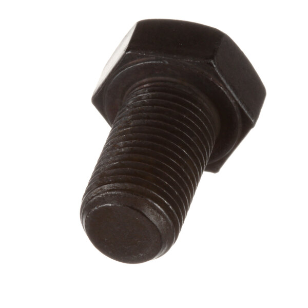 A close-up of a black Globe hex screw.