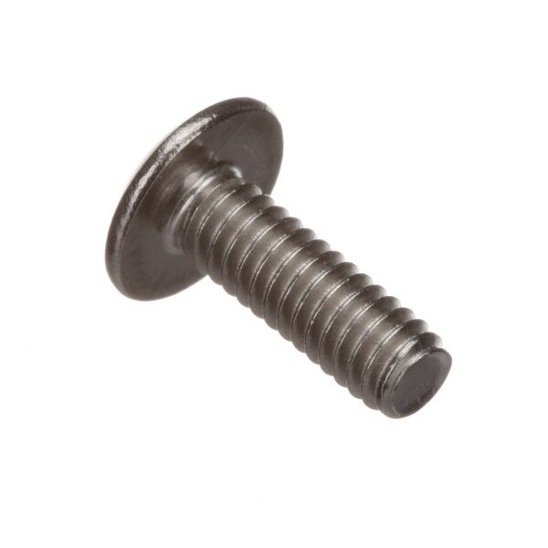 A close-up of a Delfield screw with a metal head.