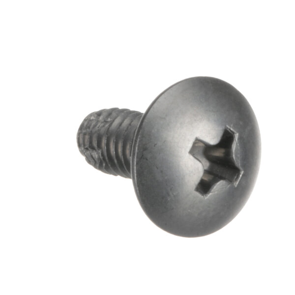 A close-up of a Henny Penny stainless steel screw with a hole in the head.