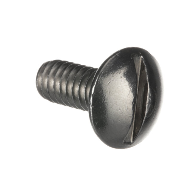 A close-up of a Hobart machine screw with a black metal head.