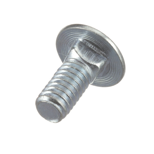 A close-up of a Blakeslee Carriage Bolt with a metal surface.