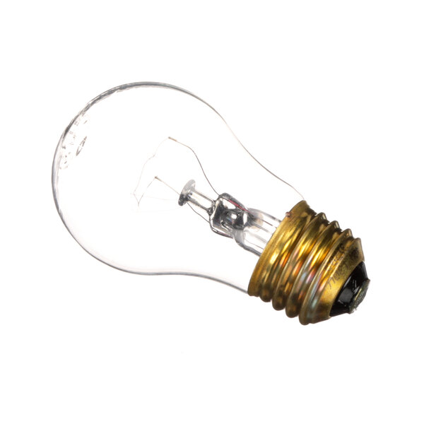 A close-up of a Hoshizaki light bulb with a gold base.