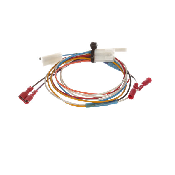 A Globe wiring harness with several colored wires.