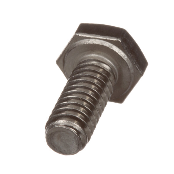 A close-up of a Champion bolt with a hex head.