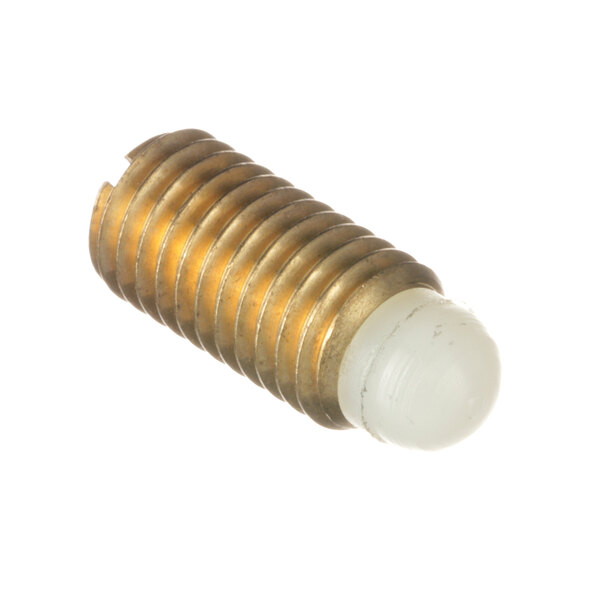 A close-up of a brass threaded screw.