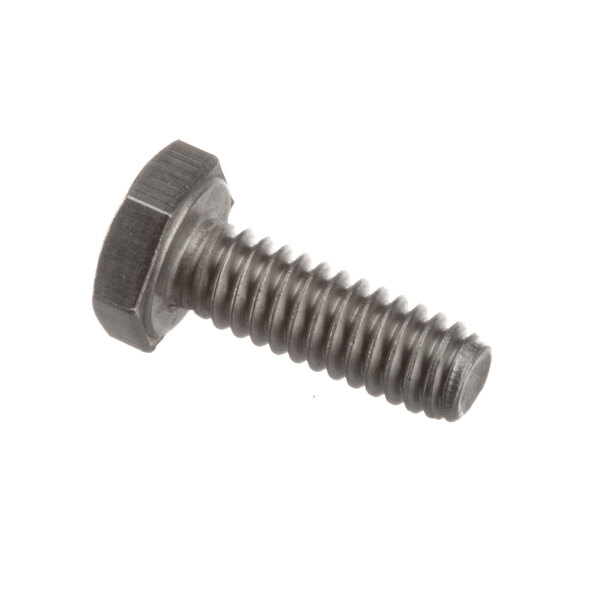 A close-up of a Cleveland 1/4-20 stainless steel hex bolt.