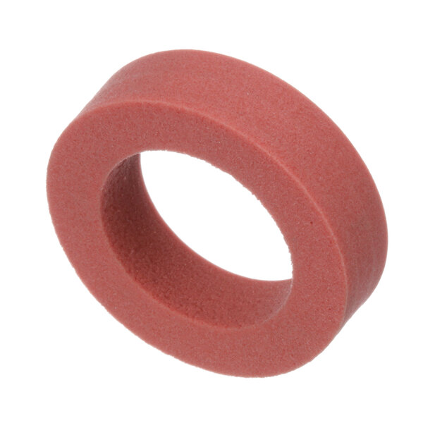 A close-up of a small red rubber circle with a hole in the middle.