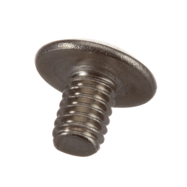 A close-up of an Alto-Shaam SC-2459 screw with a metal head.