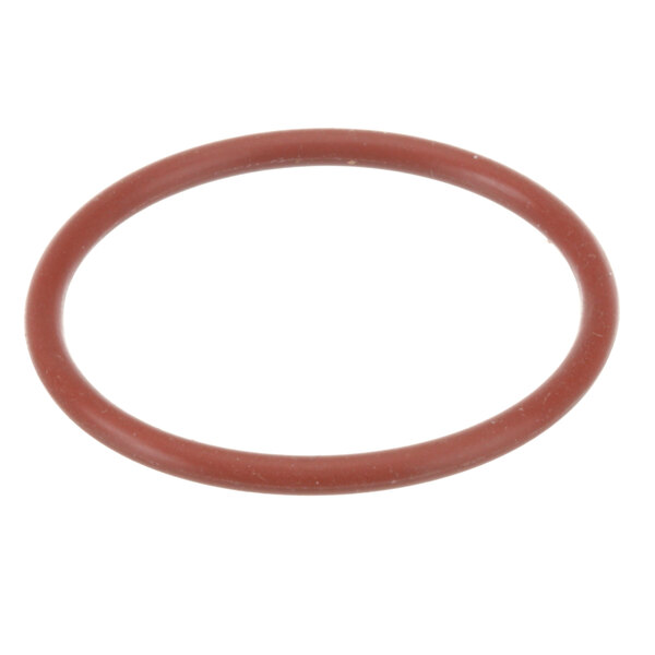 A red rubber O ring with a red circle on a white background.