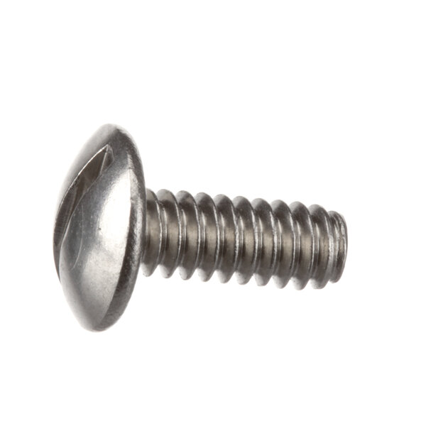 A close-up of a Blakeslee 5987 screw.