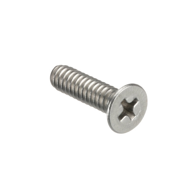 A close-up of an Accutemp hinge screw.