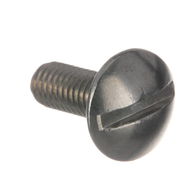 A close-up of a Crown Steam stainless steel screw with a black head.