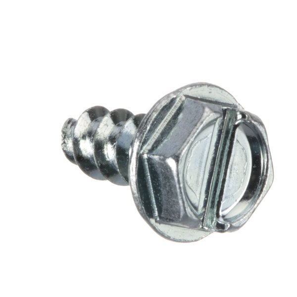 A close-up of a Delfield screw with metal head.