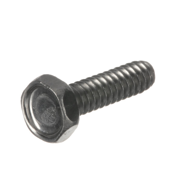 A close-up of a Bunn screw with a hex head.