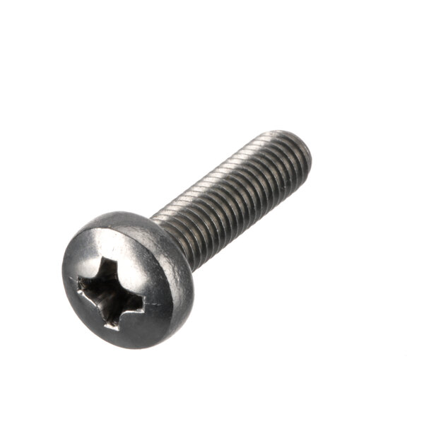 A close-up of Alto-Shaam screws.