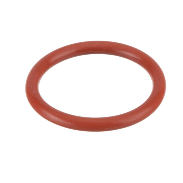 A red rubber o-ring on a white background.
