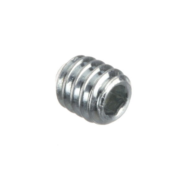 A close-up of a stainless steel Hobart screw.