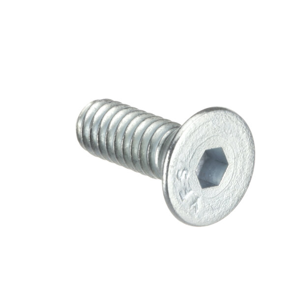 A close-up of a ProLuxe hex head screw.