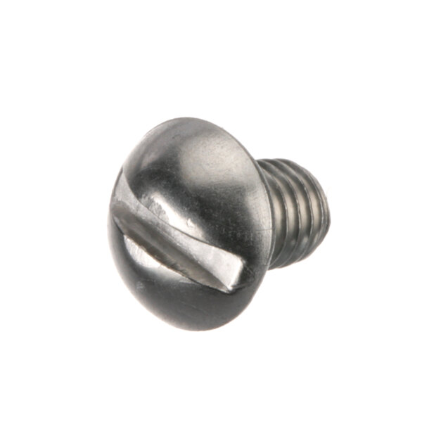 A close-up of a metal screw with a black head.