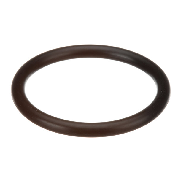 A brown rubber Vulcan O-Ring.